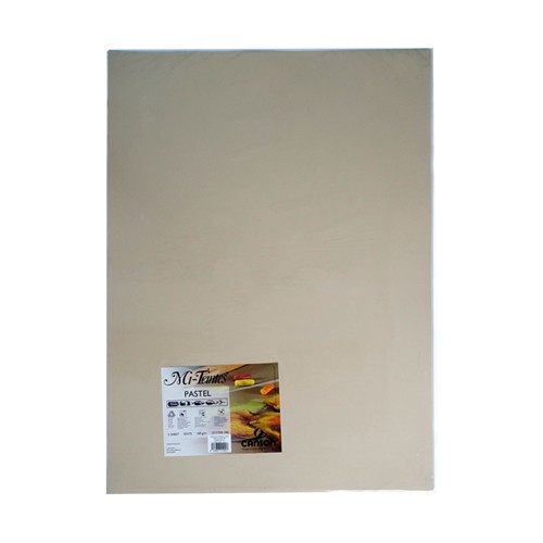 

Canson Mi-Teintes Oyster 55x75 160gsm