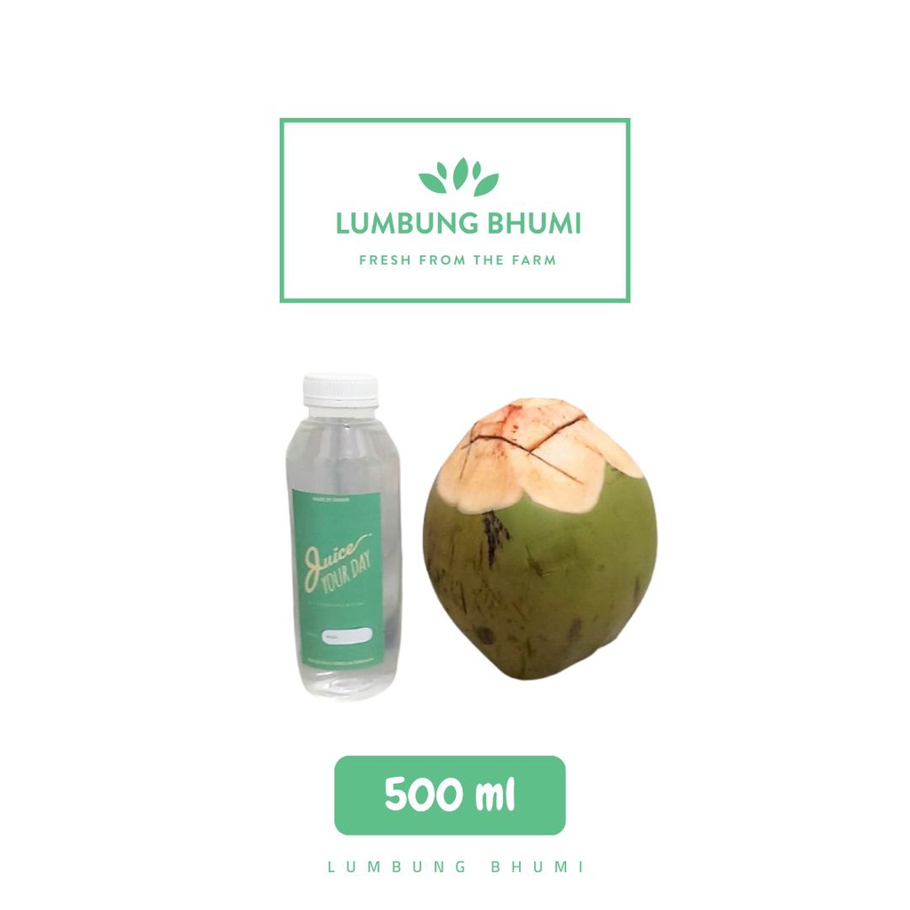 

Air Kelapa Hijau Ijo 500 ml 1 Pcs - Lumbung Bhumi