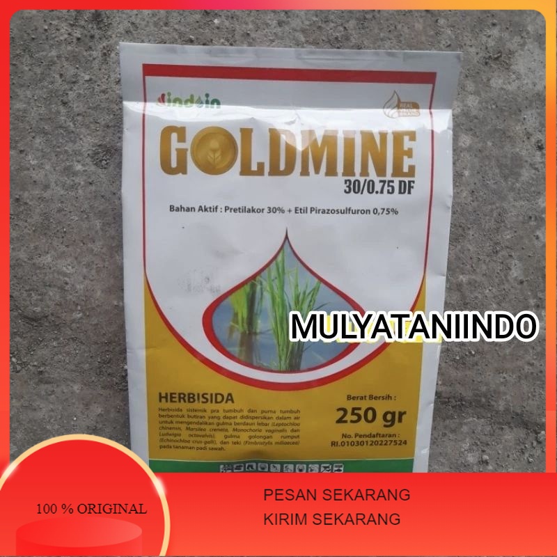 Herbisida padi pra tumbuh GOLDMINE 250 Gram pembeku biji gulma