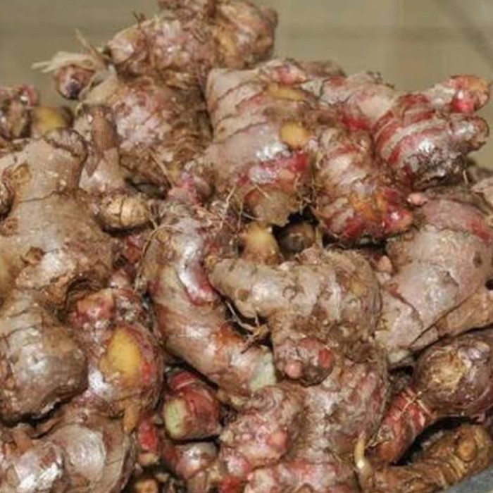 

Jahe merah segar 1KG fresh jahe pilihan