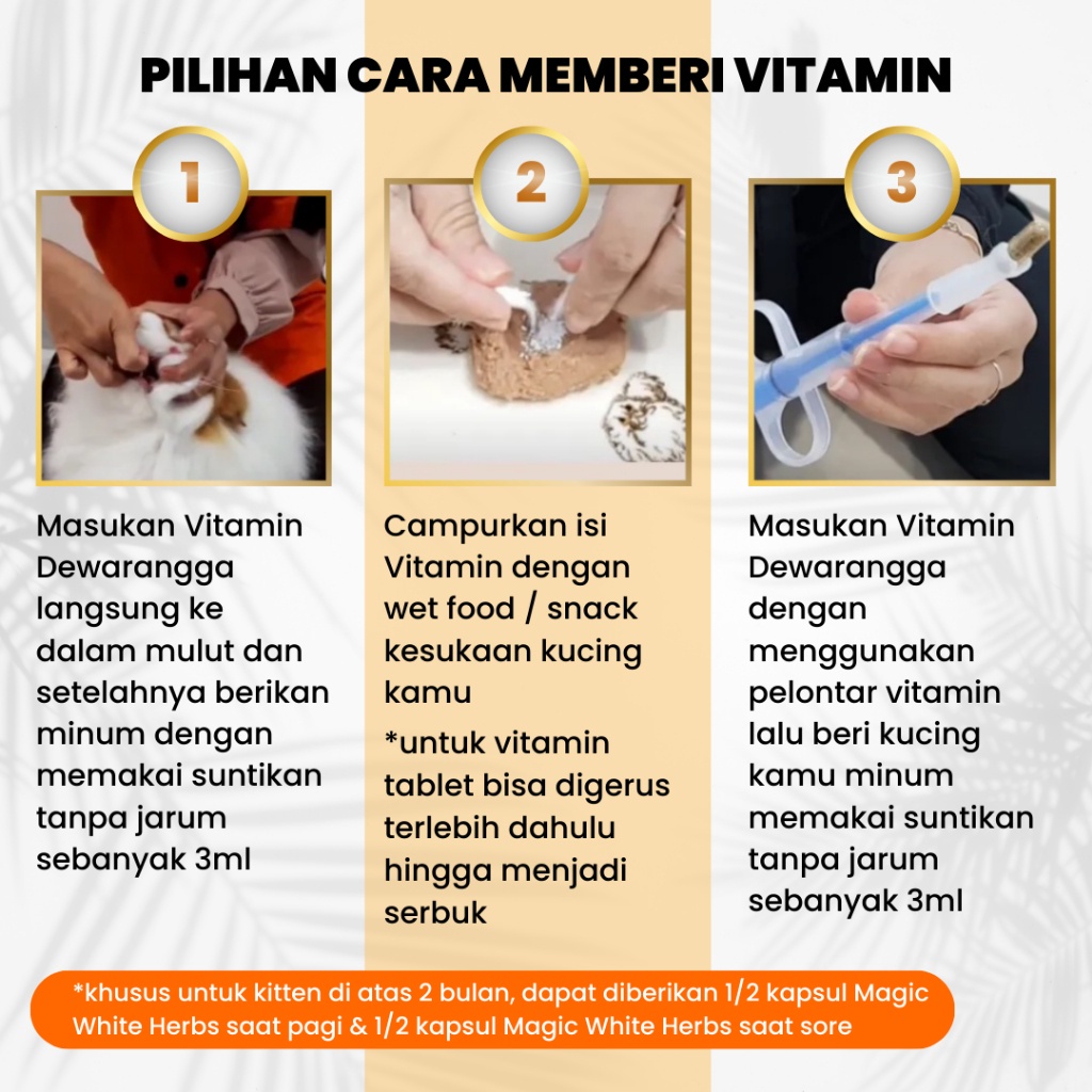 Vitamin Kucing Sembuhkan Flu Mata Belekan Bersin bersin Herpes Klamidia Pilek