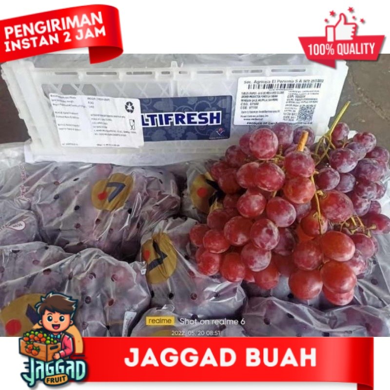 

anggur merah RRC Jaggad Fruit