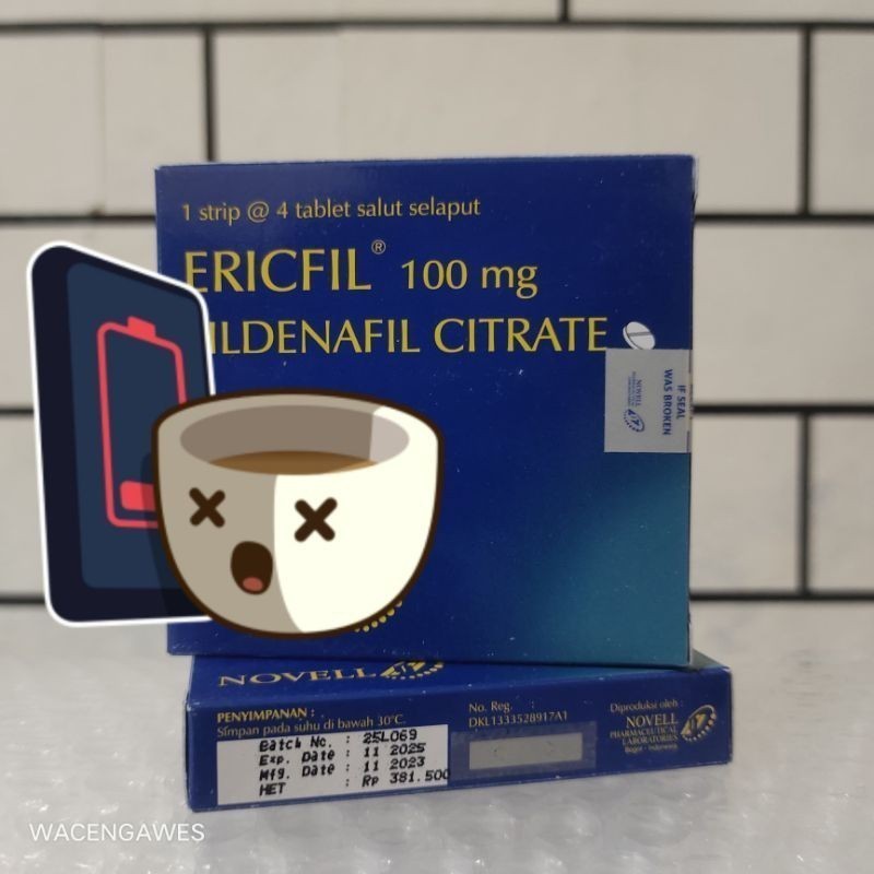 Ericfil100 100mg origina