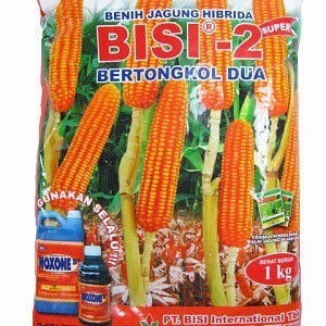 Benih Biji Bibit Jagung BISI 2 Unggul Kemasan 1kg