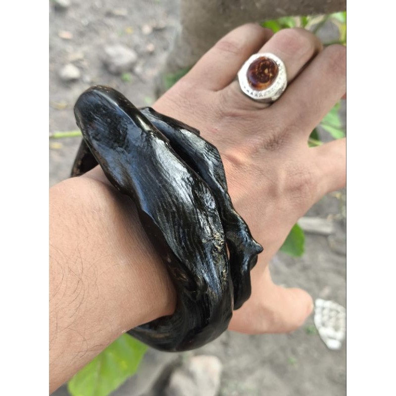GELANG AKAR BAHAR HITAM SUPER JUMBO