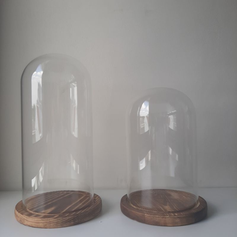 

COD glass dome kaca bunga kering preserved flower