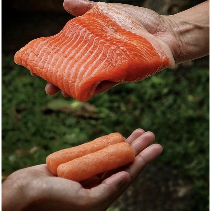 

FROZEN FOOD MAKANAN CAMILAN BEKU -PEMPEK SALMON PIK -PAKET RATU SALMON - Manis