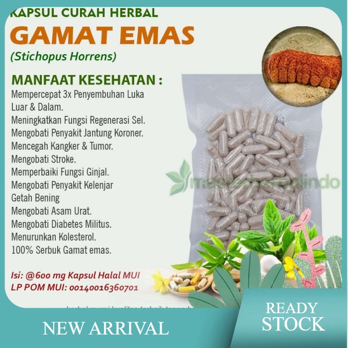 Kapsul Curah GAMAT EMAS Anti Aging Kesuburuan Pria Kanker 100 capsul