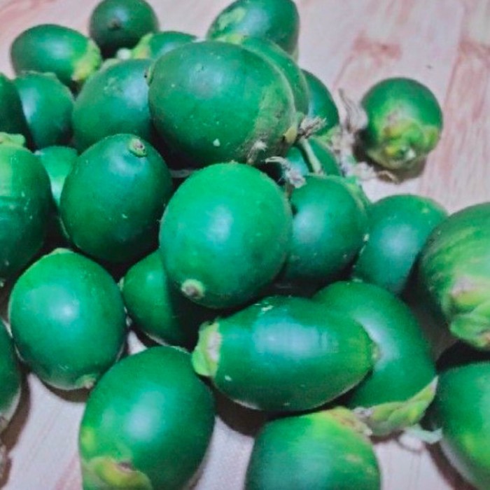 

1kg Buah Pinang Muda Segar-jambe muda fress Stok ready silahkan diorder