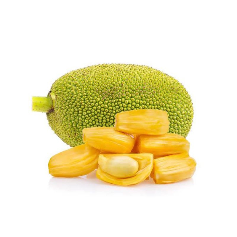 

Nangka Kupas Manis Fresh 1 kg / Buah Nangka Segar Murah