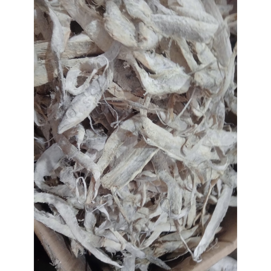 

LAYUR ASIN KERING 1KG FRESH