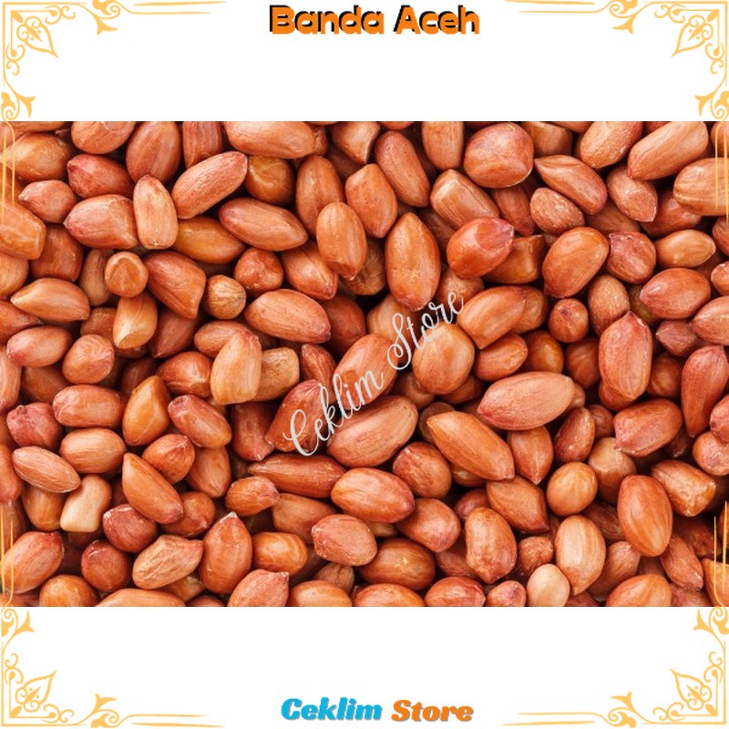 

Kacang Tanah Fress