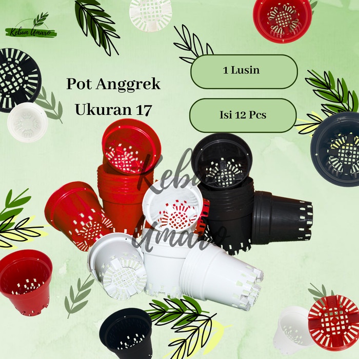 GROSIR 1 Lusin Pot Anggrek Ukuran 17 / Pot Tanaman / Pot Bunga / Pot Plastik / Kebun Umaro