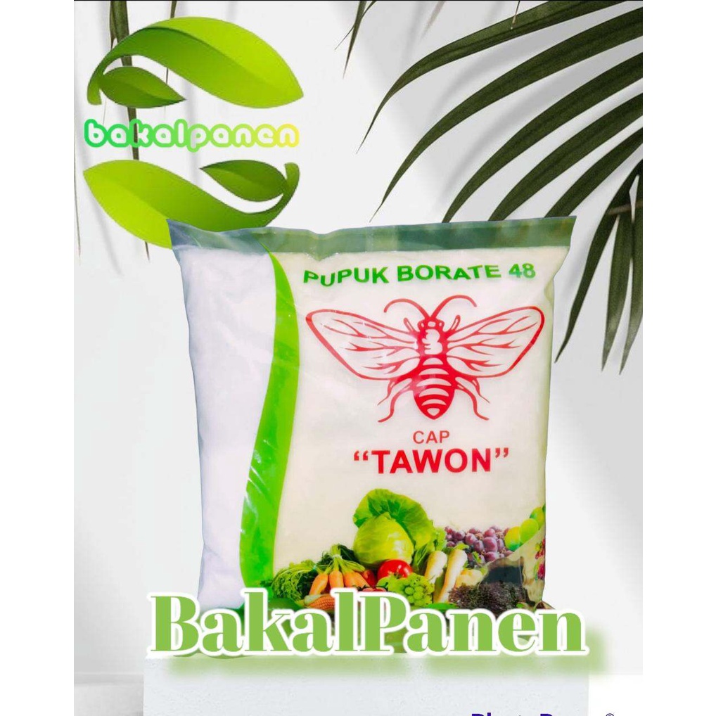 Pupuk borate boron cap tawon 1kg