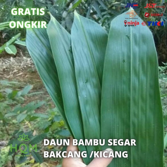 

DAUN BAMBU 500GRAM UNTUK BUNGKUS BAKCANG / KICANG