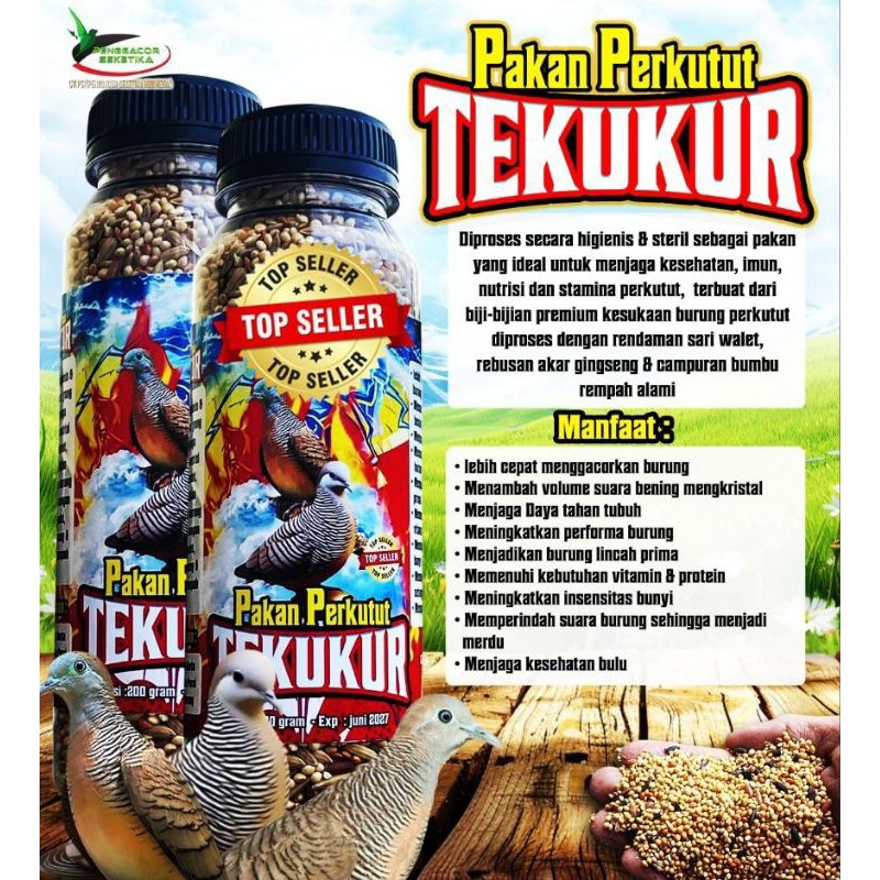 Pakan Perkutut Tekukur Penggacor Burung