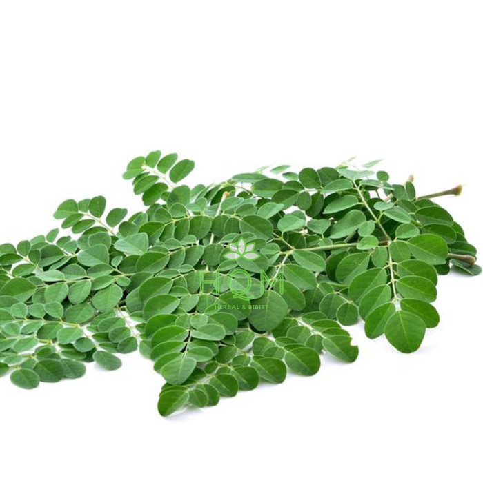 

Promo Daun Kelor Segar Langsung petik