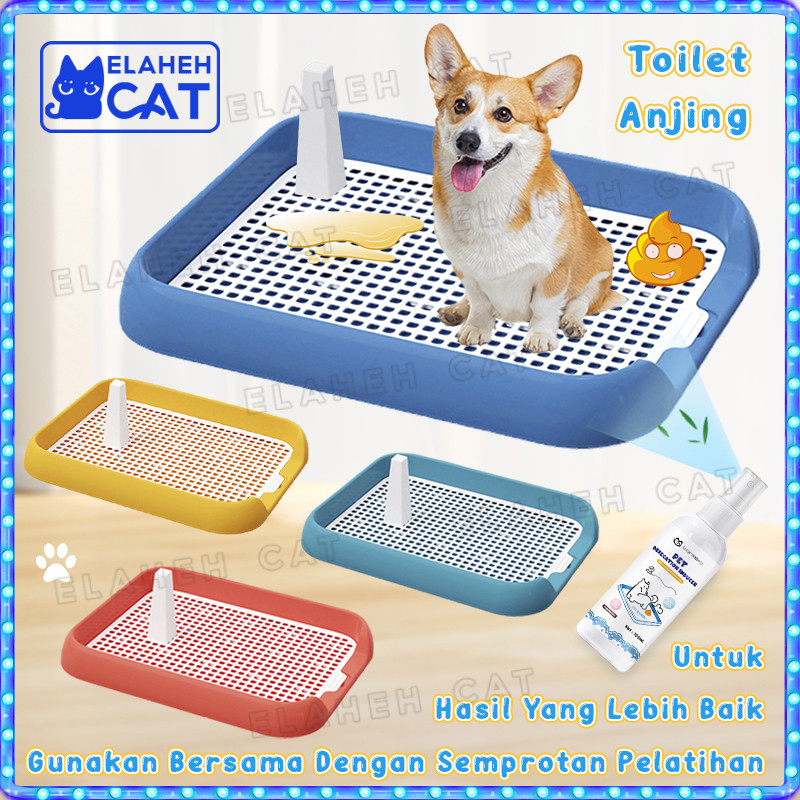 Toilet Anjing Tempat Pipis Anjing Dog Toilet Training