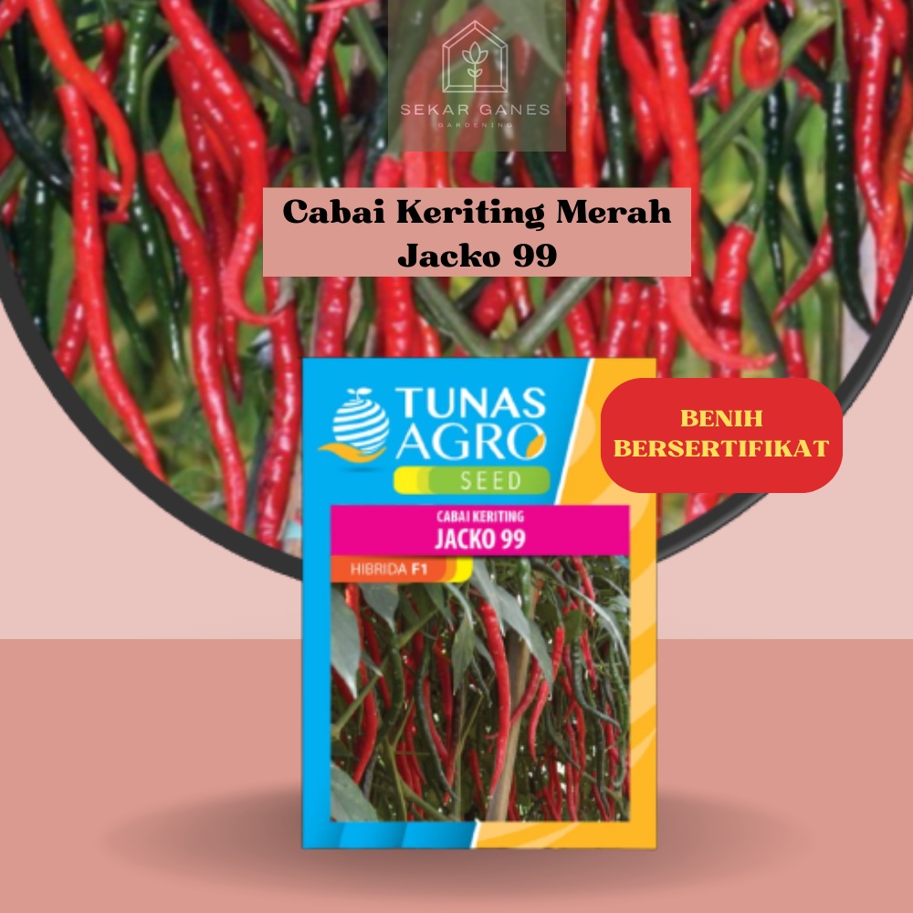 NEW Biji Benih Cabai Keriting Jacko 99 F1 Ori - Repack 100 Bibit Cabe Kriting Lombok Besar
