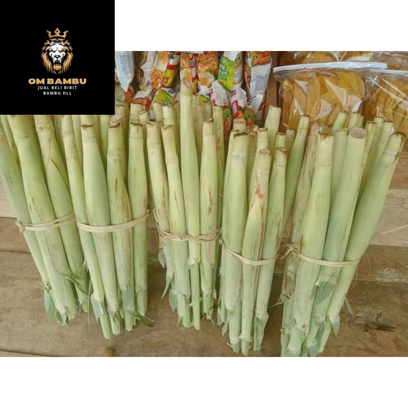 

promo terubuk sayur/terubuk telurr/turubuk bunga