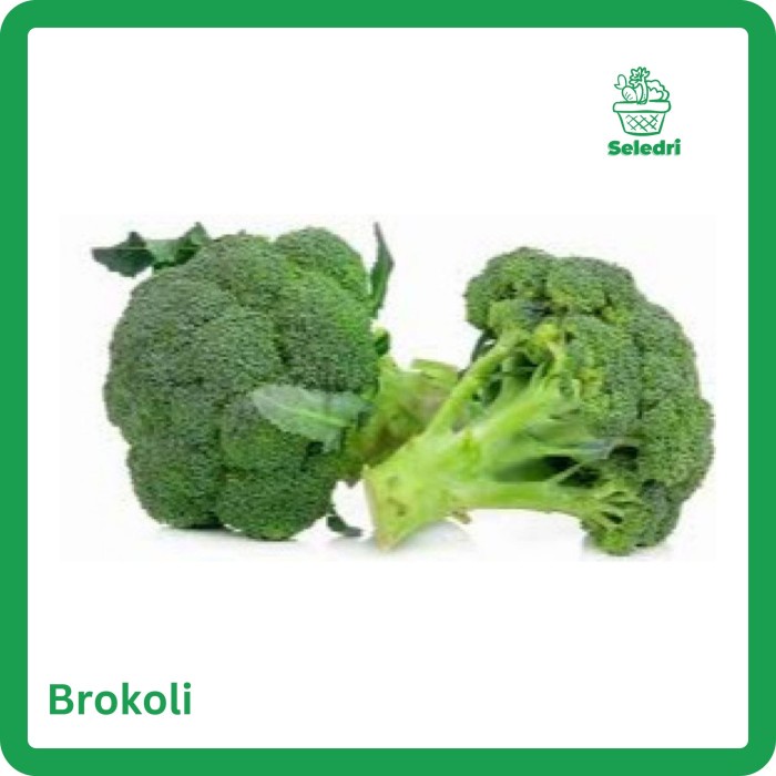 

sayur brokoli segar