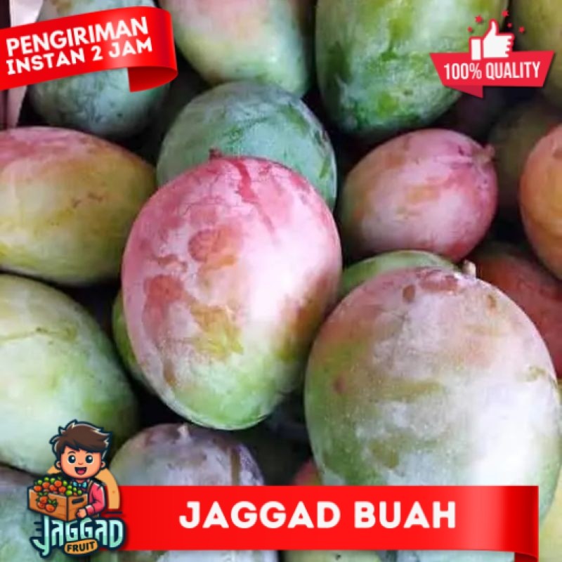 

BUAH MANGGA BRAZIL/MANGGA IRWIN 1 KG JAGGAD FRUIT