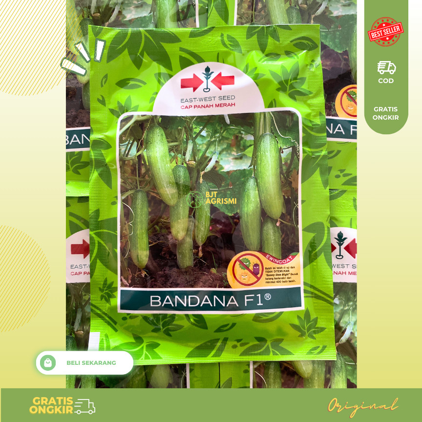 Bandana 20 Gr Cap Panah Merah - Benih Mentimun Bandana Isi 800 Biji Timun Bonteng