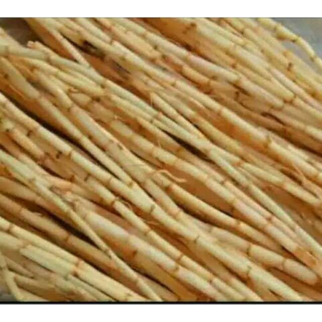 

akar alang alang segar 500gram