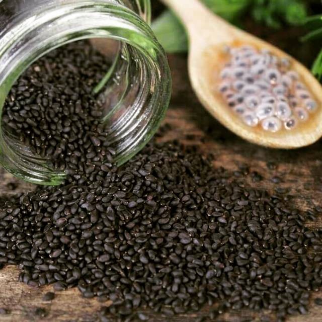 

Biji selasih / basil seed