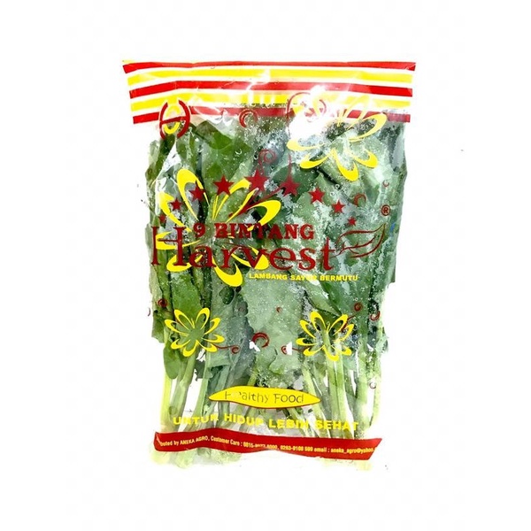 

Harvest Kailan Premium [ 200gr/ 1 Pack ]