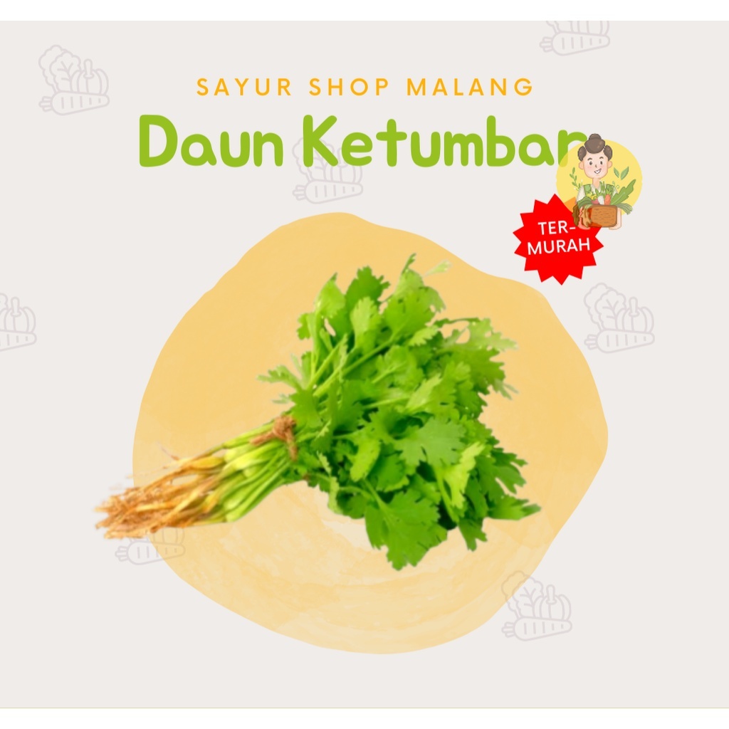 

Daun Ketumbar 100gram - Sayur Instan Segar Malang