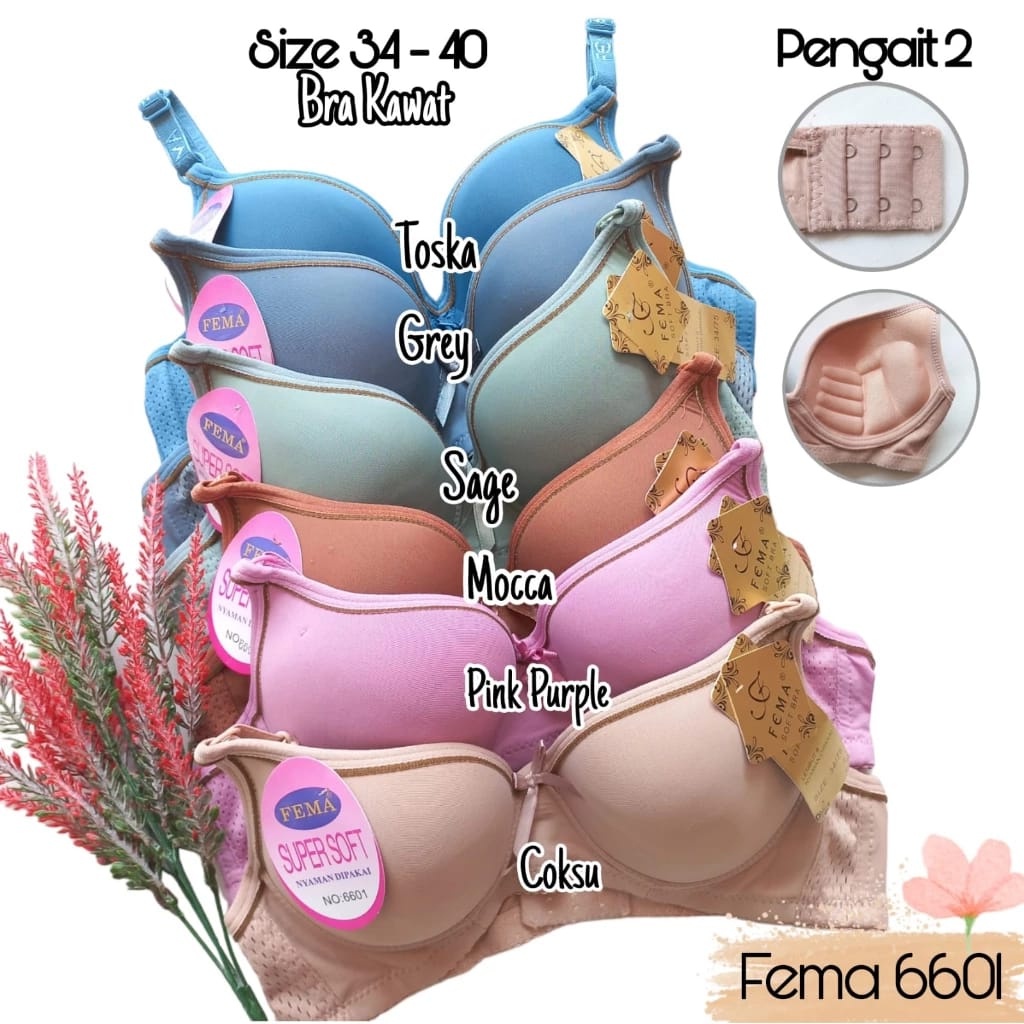 Bra Wanita BH Kawat FEMA 6601 CUP A KECIL Dua PENGAIT Busa Tebal Sm01