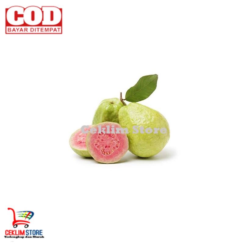 

Jambu biji Merah / Red Guava 1 kg Fresh (buah segar)