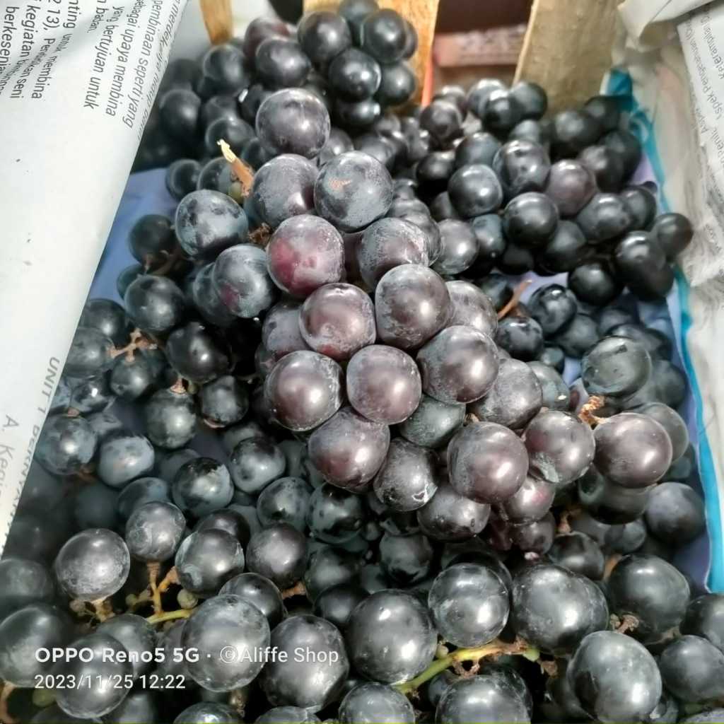 1 KG Anggur Bali