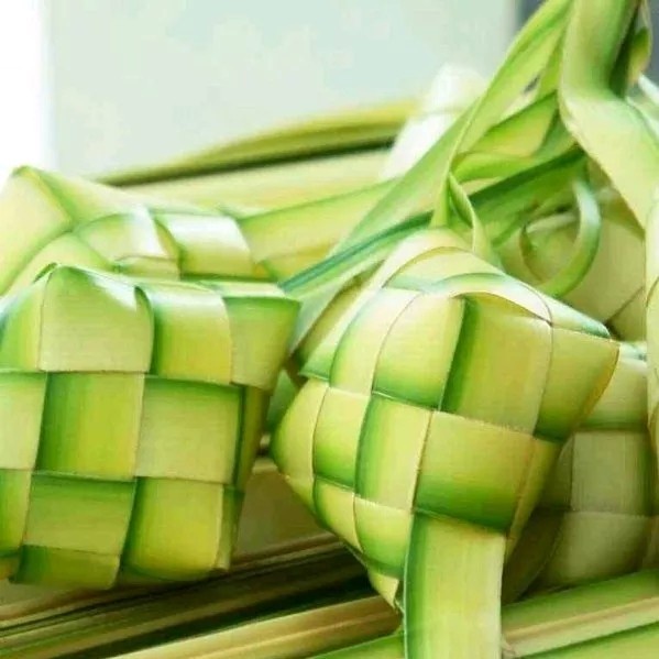 

Daun kelapa muda 1kg atau janur kuning