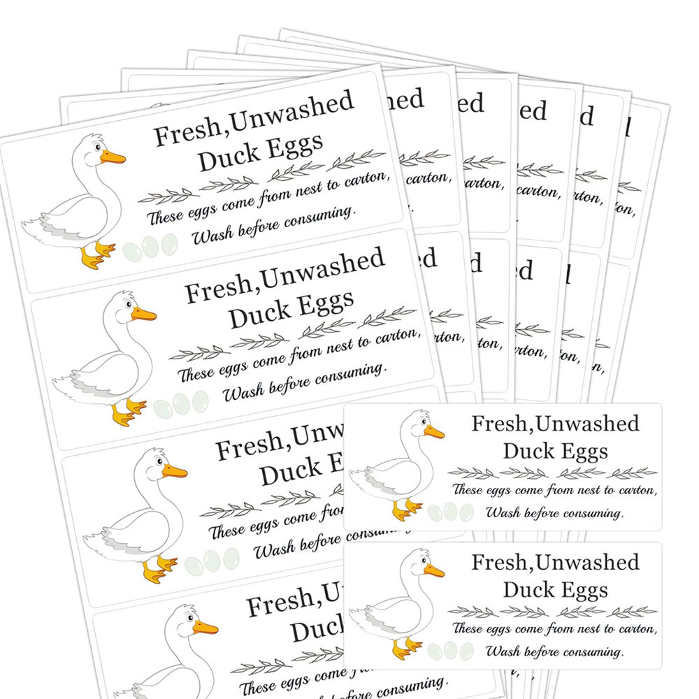 

Chicken Quail Duck Egg Carton Stickers 1×2.5inch Farm Fresh Eggs Carton Labels for Egg Packaging Instructions 120Pcs