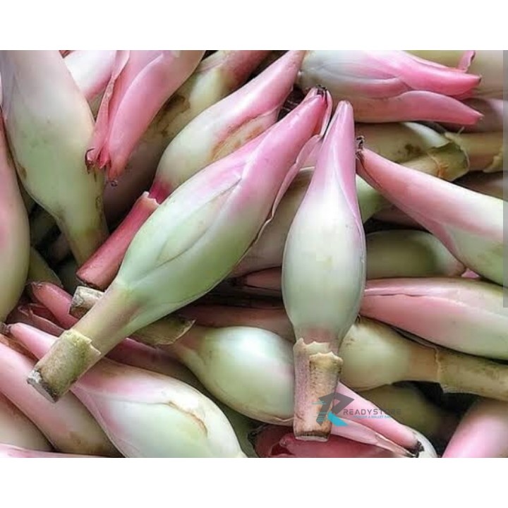 

PROMO!! Kecombrang Honje Segar Bumbu Masak 500 Gram