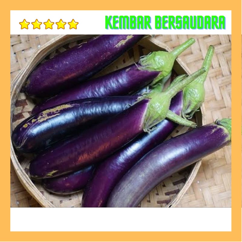 

terong ungu 500gram