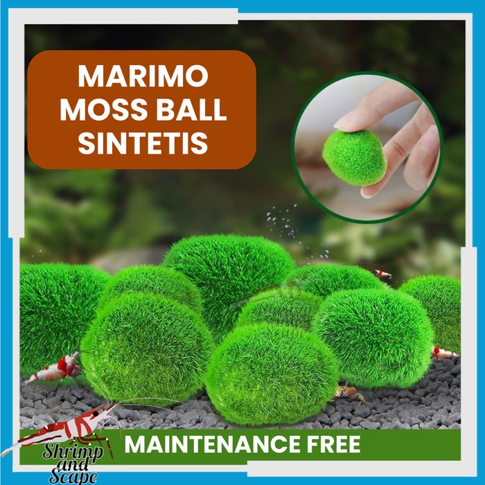 Marimo Moss Ball Sintetis Tanaman Bola Moss Sintetis Hiasan Aquarium