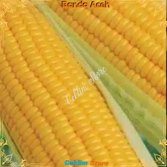 

Jagung hawai jagung manis 1kg