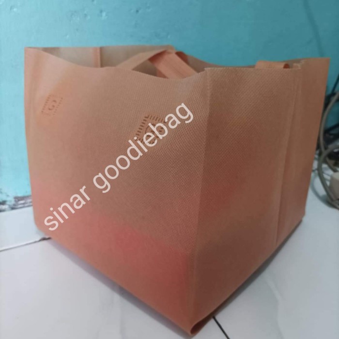 

tas hls press box 25x25 isi 12pcs,tas spunbond tas box nasi besek - hijau muda