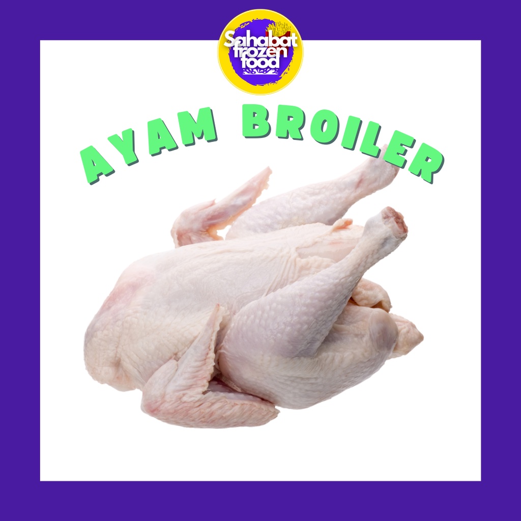 

Ayam Potong / Broiler Segar