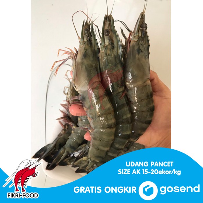 

Udang Pancet / Windu / Tiger AK 15-20 Segar