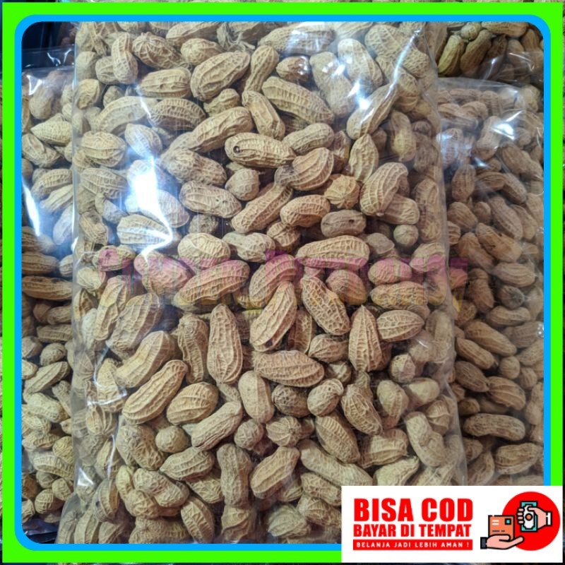 

kacang kulit sangrai 1kg kacang kulit bakar
