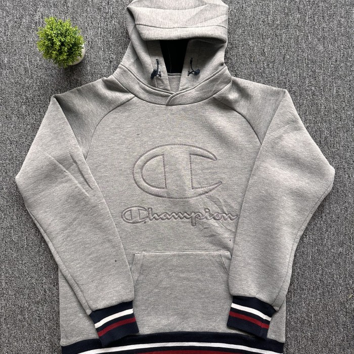 Champion Big Logo Hoodie.