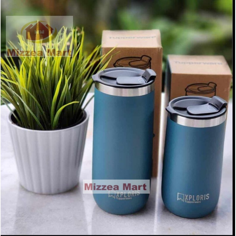 MizzeaMart xploris thermal mly