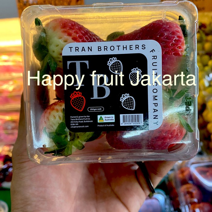 

Strawberry australia jumbo | Buah strawberry fresh australia pack 250g