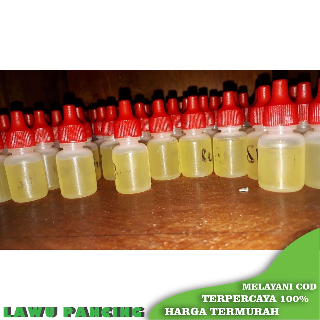 Esen sereh wangi murah gacor buat bawal