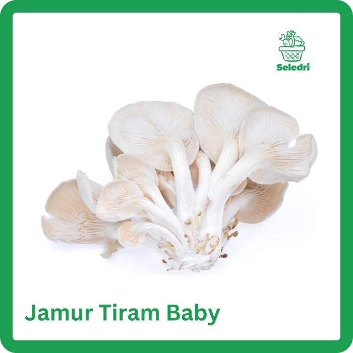 

Jamur Tiram Baby Sayuran Segar