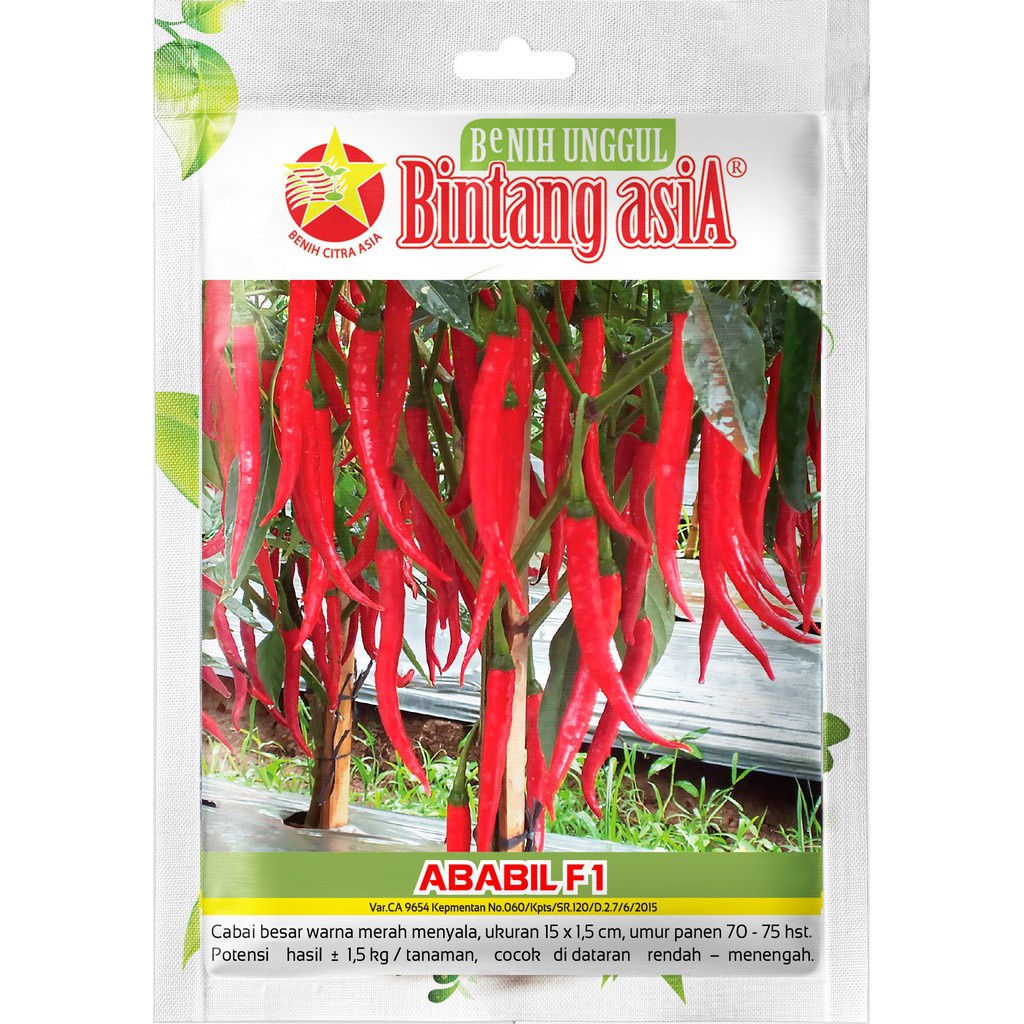 Benih Cabai Cabe Besar ABABIL F1 1 Gram Cap Bintang Asia PT Benih Citra Asia Warna Merah Menyala Coc